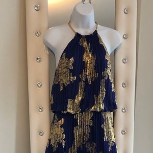 ❤️Worn once❤️ Navy and gold floor length dress.